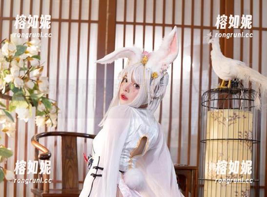 NinJa阿寨寨x阿狸：无圣光图集中那些不为人知的秘密！